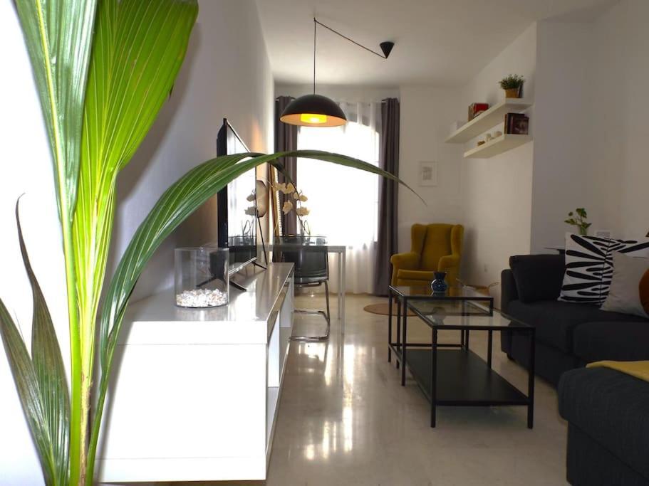 Apartamento Suite Centrico B Málaga Exterior foto